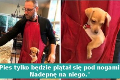 17 mężczyzn, którzy stworzyli nieoczekiwane więzi ze swoimi zwierzakami