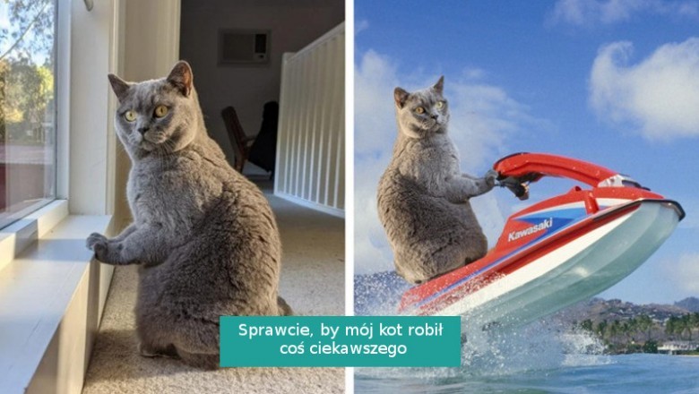 14 zdjęć, które trafiły w ręce mistrzów Photoshopa