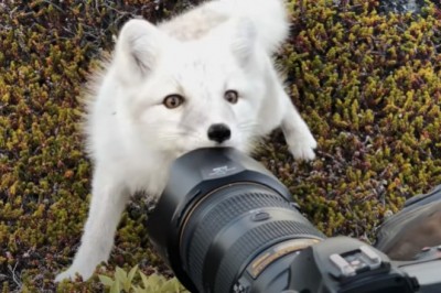 Codzienna porcja ciekawych i zabawnych filmików #630