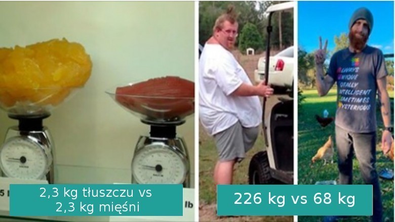 18 interesujących porównań dających lepsze spojrzenie na niektóre rzeczy