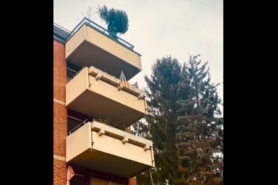 Kiedy chcesz się pozbyć choinki, ale ona tak łatwo się nie poddaje