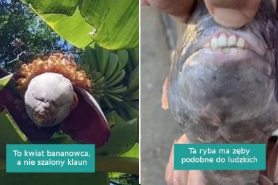 16 zdjęć pokazujących, że skarby natury możemy znaleźć za każdym rogiem