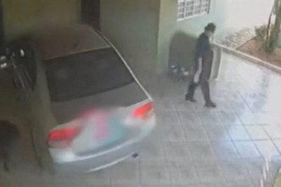 Kiedy Twój pies bardzo nie chce iść do weterynarza