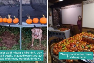 16 osób, które pokazały swoje zamiłowanie do ogrodnictwa