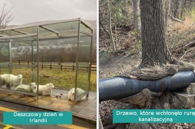 15 zdjęć wyglądających jakby wykonano je w innym wymiarze