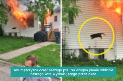 14 zdjęć, które wzbudziły naszą ciekawość, pokazując niezwykłe historie