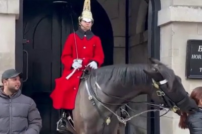 Miała być fotka na insta, ale koń miał inne plany