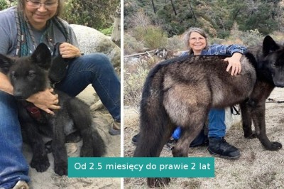 18 interesujących zdjęć porównawczych, które pokażą ci nową perspektywę