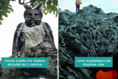 18 interesujących i niepokojących zdjęć, którymi podzielili się internauci