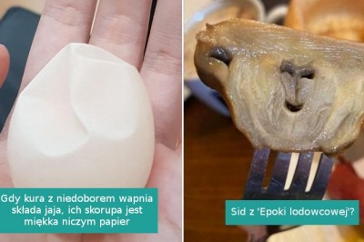 16 zwyczajnych rzeczy, które wyglądają na wyjątkowe znaleziska