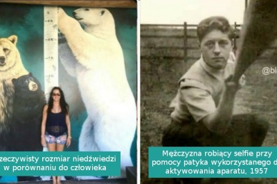 14 interesujących faktów, o których nie dowiedzieliście się w szkole