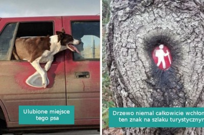 15 niezwykłych przykładów ukazujących piętno, jakie  odciska upływający czas