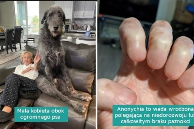 16 niezwykłych rzeczy, których nie mamy okazji zobaczyć na co dzień