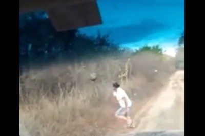 Próbował zrzucić gniazdo os. Szybko tego pożałował