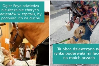 16 pozytywnych zdjęć, które poprawią wam humor nawet w najsmutniejszy dzień