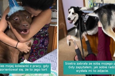 15 szczęściarzy, którym udało się znaleźć swoje czworonożne bratnie dusze