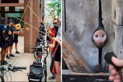 16 zdjęć, które wzbudzają mieszankę sprzecznych emocji