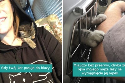 20 zwierzaków, które nie odstępują swoich właścicieli nawet na krok