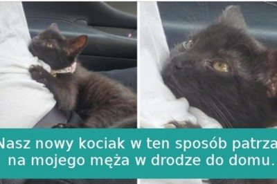 15 zwierzaków, dla których miłość przychodzi tak naturalnie jak oddychanie