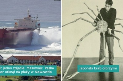 18 zdjęć pokazujących jak wielkie mogą być pozornie zwykłe rzeczy