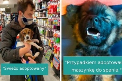 16 uroczych zwierzaków, które znalazły swój nowy dom i właścicieli. Widać ich wielką radość
