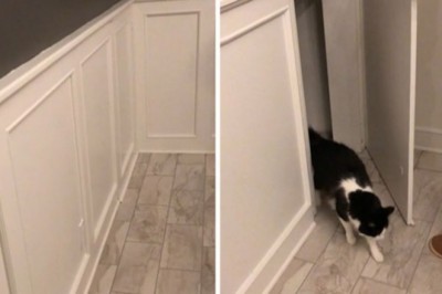 18 niezwykłych kryjówek i ukrytych przejść w pozornie zwyczajnych domach