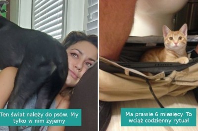 16 zwierzaków, które najwyraźniej nie wiedzą czym jest przestrzeń osobista