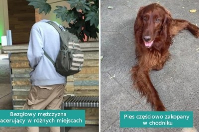 16 mylących fotografii, które zmusiły nas do wytężenia mózgu