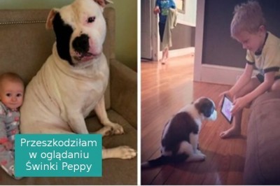 Jeśli sądzisz, że twoje dziecko nie potrzebuje psa, poniższe zdjęcia mogą cię przekonać