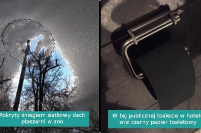 15 osób, których dzień nie mógł okazać się bardziej dziwny