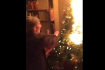 Choinka która nie doczekała świąt. Imprezowiczów poniosło