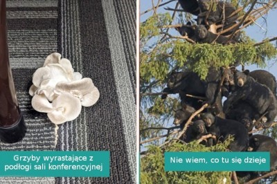 17 fotografii pokazujących, że naturze nigdy nie skończą się niespodzianki