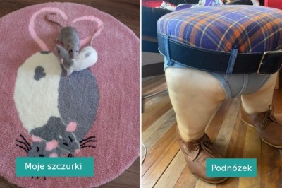 17 osób, które puściły wodze fantazji podczas dekorowania swoich domów