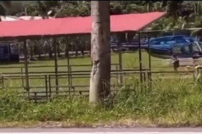 Kiedy nie zaciągniesz ręcznego w helikopterze i z niego wysiądziesz