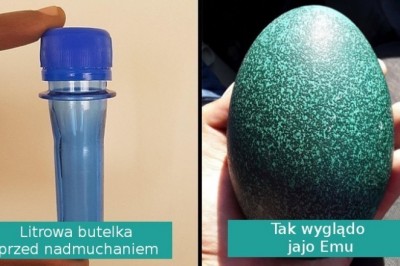 14 odkryć internautów, które mogą zmienić wasze postrzeganie zwykłych rzeczy