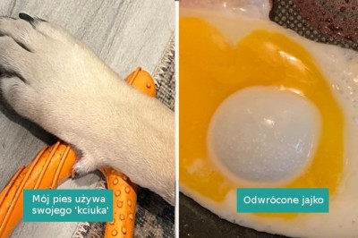 15 osób, które natrafiły na coś niezwykłego