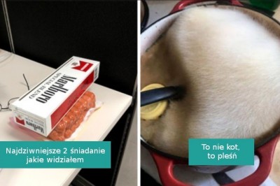 17 losowych i zabawnych zdjęć, które trudno wytłumaczyć