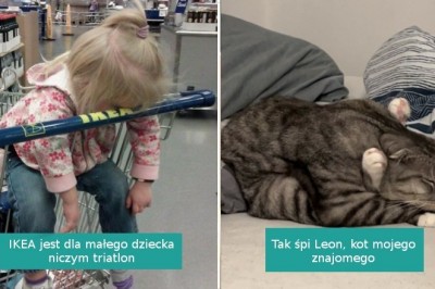 15 osób, którym udało się zrobić zdjęcie w perfekcyjnym momencie