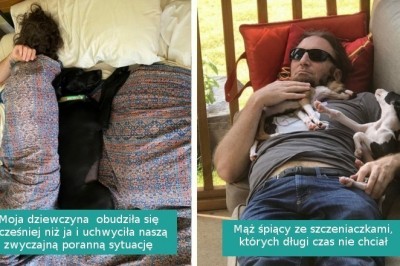 Ci właściciele zasypiają w towarzystwie swoich zwierząt i wyglądają przesłodko