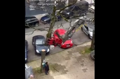 Protest przeciw wycince drzew nie idzie zgodnie z planem