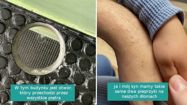 15 „umiarkowanie interesujących” fotografii pokazujących, że codzienność potrafi zaskoczyć