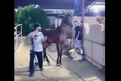 Kiedy masz zły dzień i wszyscy Cię wkurzają