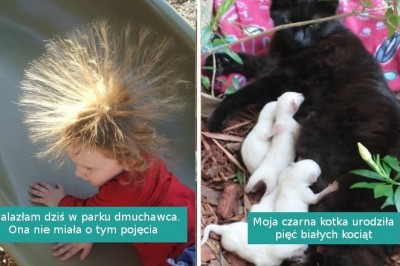 15 internautów, którzy podzielili się interesującymi odkryciami