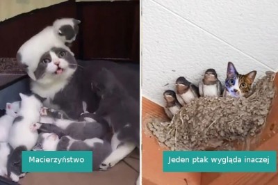 16 zwierzaków, z którymi nie grozi ani chwila nudy