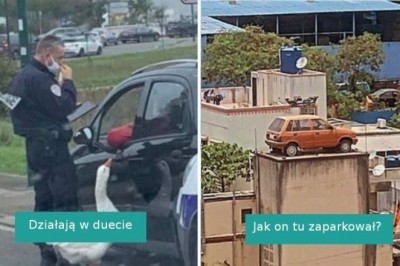 17 zabawnych i dziwacznych fotografii, które zdecydowanie potrzebują kontekstu