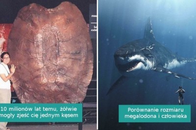 15 fascynujących zdjęć pokazujących, że miliony lat temu „natura była dla twardzieli”