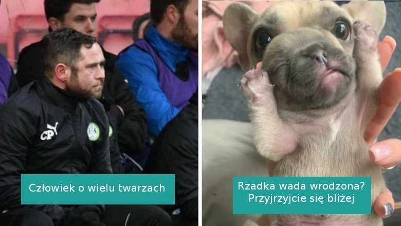 16 fotografii, które wystawiły nasz wzrok i percepcję na próbę