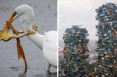 20 zapierających dech fotografii z konkursu National Geographic. Inne oblicze świata