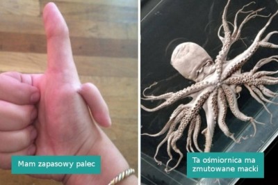 15 osób, które podzieliły się z nami czymś naprawdę nietypowym