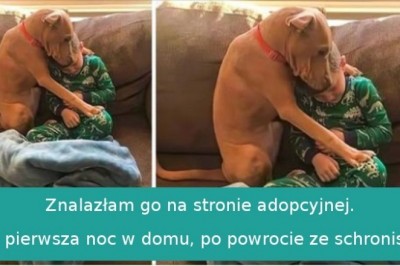 18 właścicieli, którzy pokochali swoje zwierzaki ponad życie